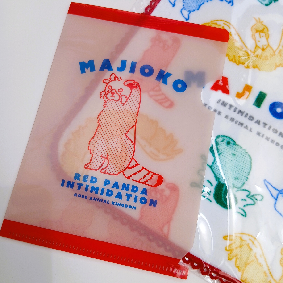A6クリアファイル MAJIOKO レッサーパンダ | 神戸どうぶつ王国NS
